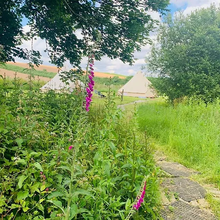 Penhallow House Bed & Breakfast